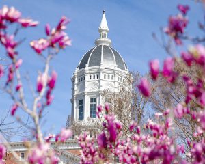 Jesse Hall surrounded by blooming flowers